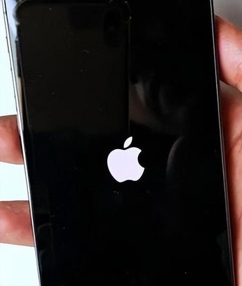 手突然黑屏开不了机截图3