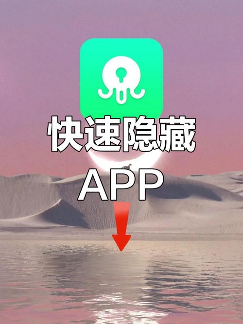 隐私工具插件下载截图2