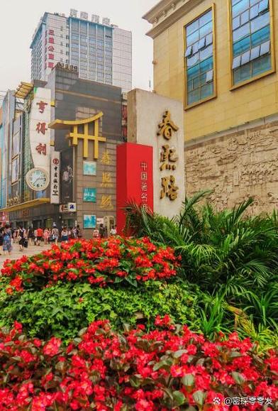 锦江区春熙券养老积分