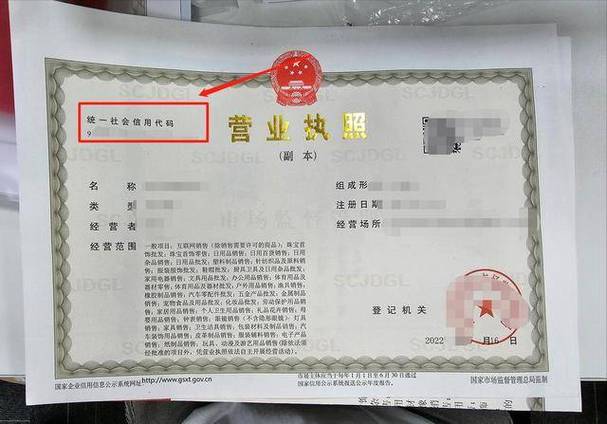 营业执照税务申报截图3