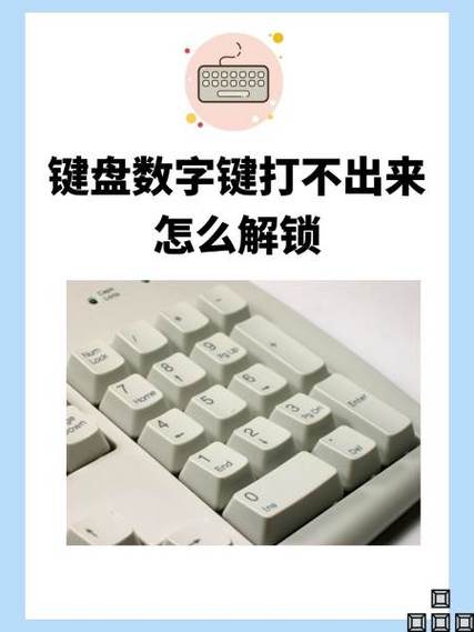 app下载输密码键盘不见了