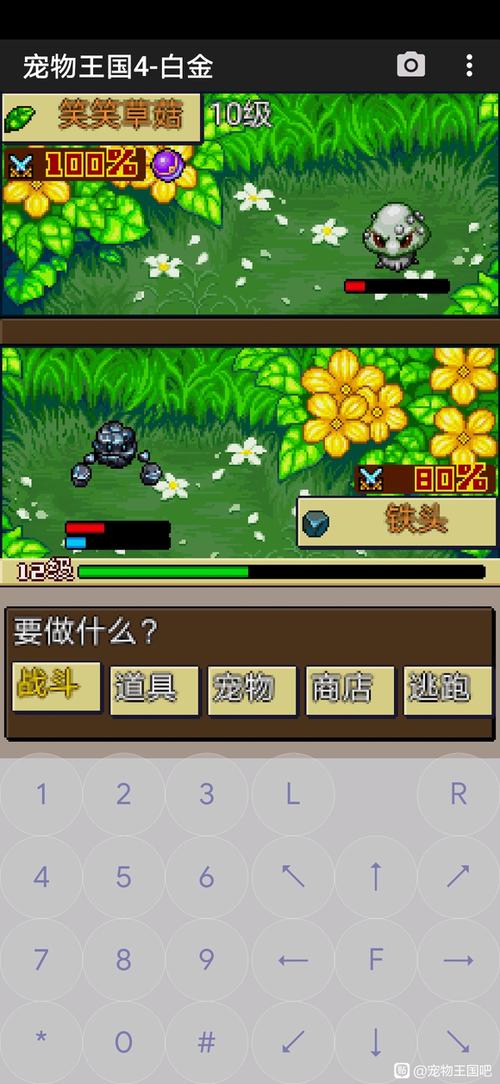 宠物王国4上帝版