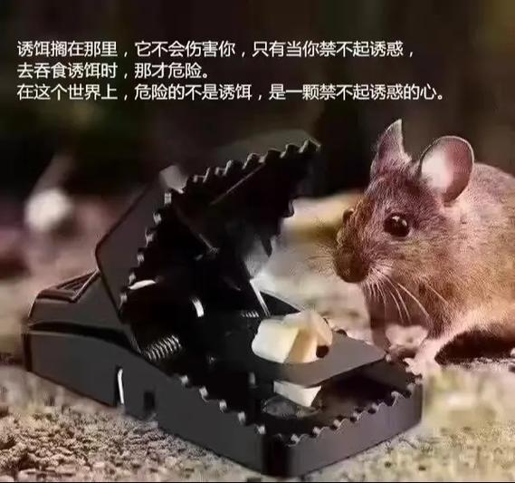 不许和陌生人说话沉思