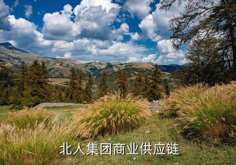 北人集团商业供应商链scm