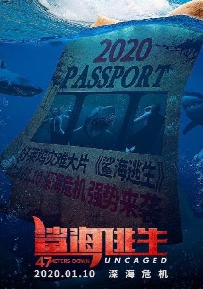 鲨海逃生最后谁死了截图3