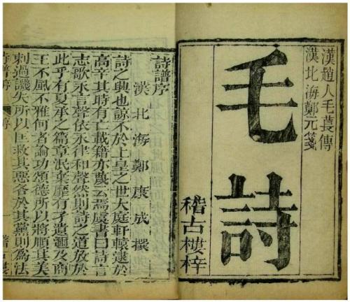不将颜色媚君王是什么诗截图2