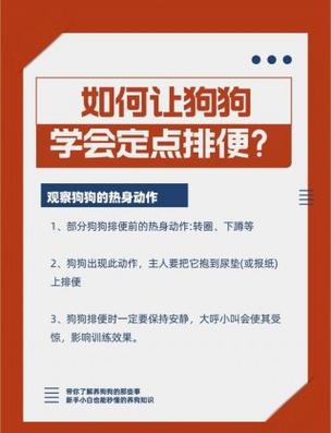 如何训练狗狗拉屎