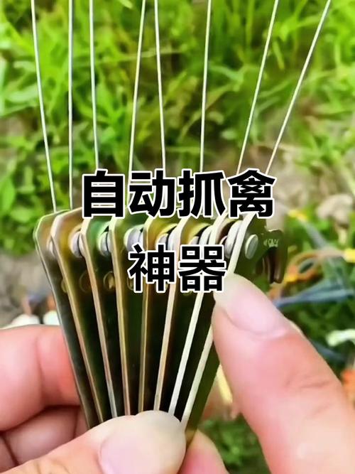 鸡仙辅助器截图3
