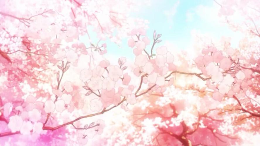 樱花动漫在看观看