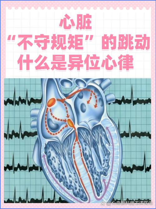心脏不规则跳动咋回事