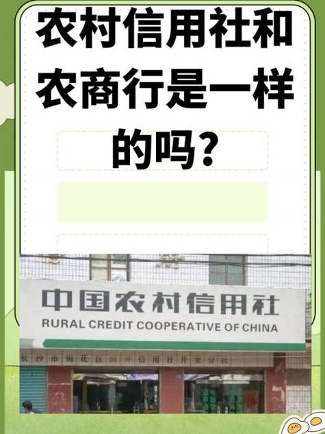 农村信用社积分怎么算