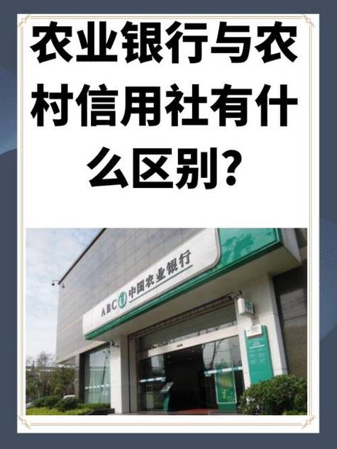 农村信用社积分怎么算截图3
