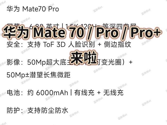 华为手机pro是什么意思