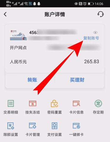 云闪付在哪里看卡号截图1