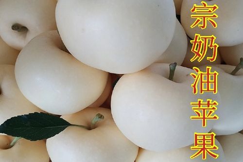 苹果白苹果怎么恢复