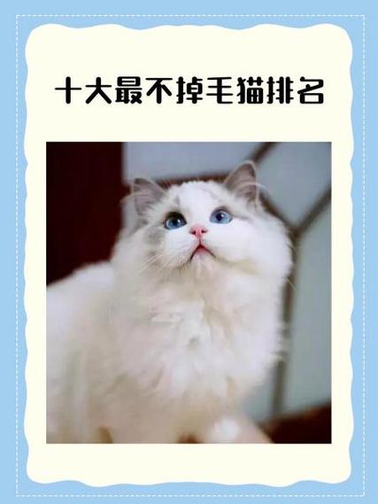 名猫排行榜前十名截图2