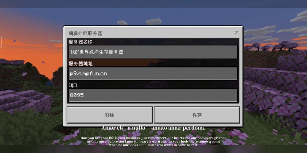 我的世界纯净生存