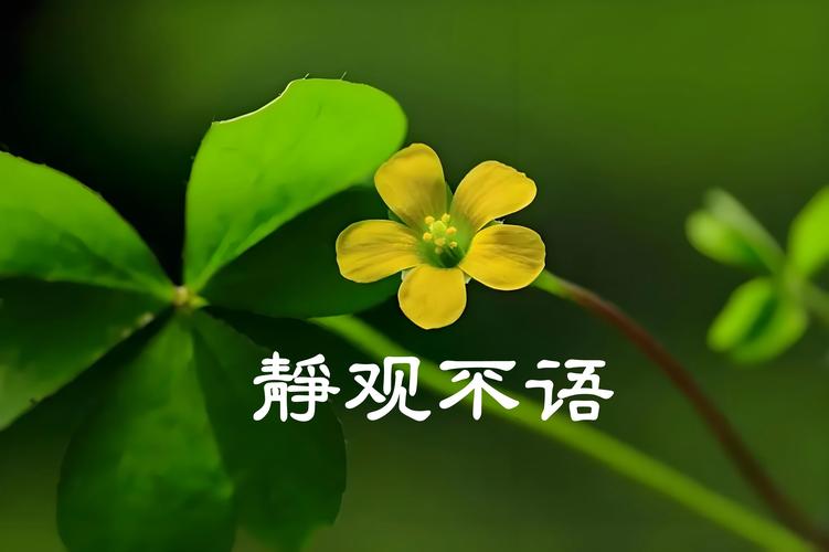 录屏插上耳机有声音吗