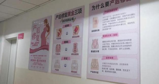 全国十大产后恢复中心截图3