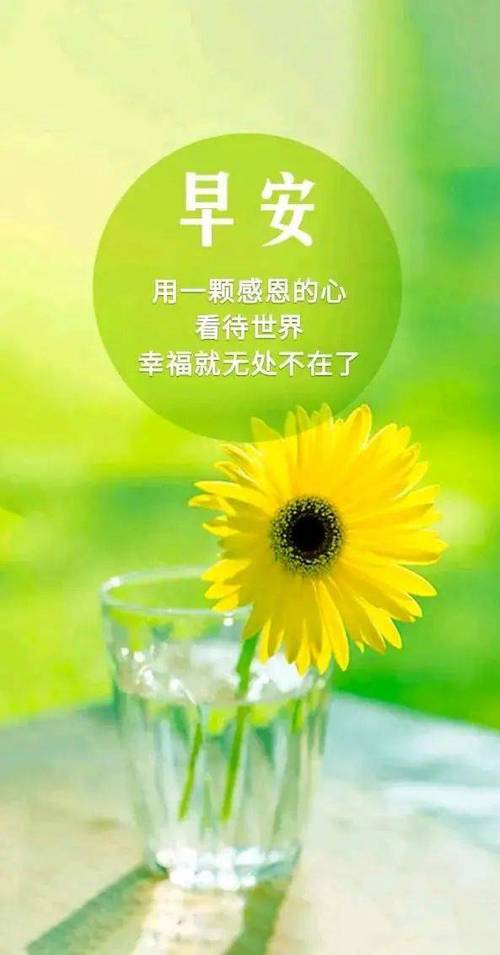 励志正能量人生语录 励志正能量人生语录