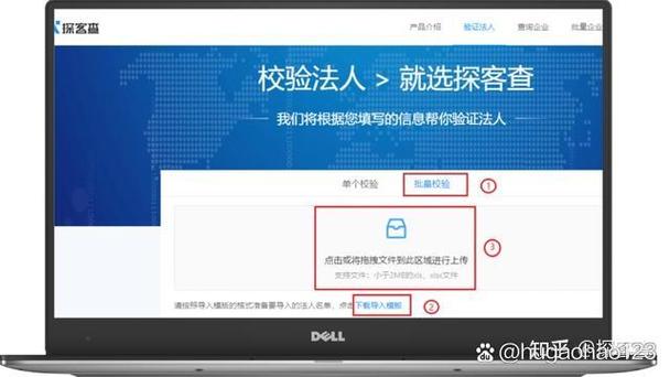 企业法人查询