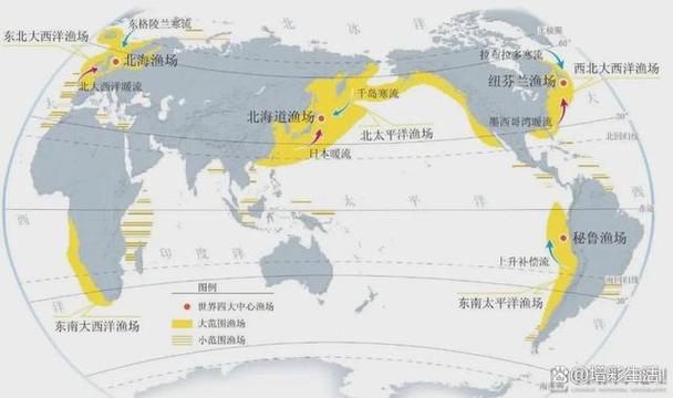 泰拉瑞亚渔场怎么建