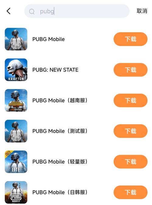 和平精英国际服文件