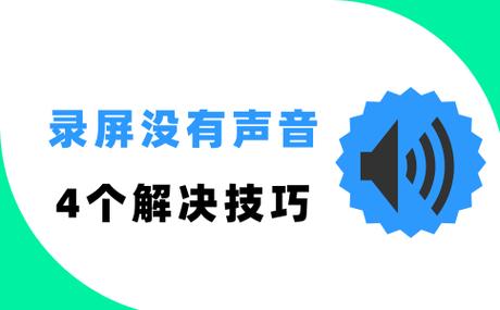 插耳机录屏有声音吗截图2