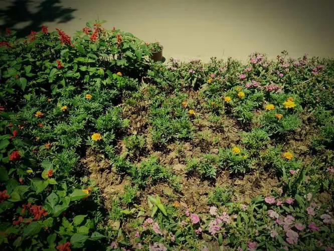 多看本地清爽 多看本地清爽