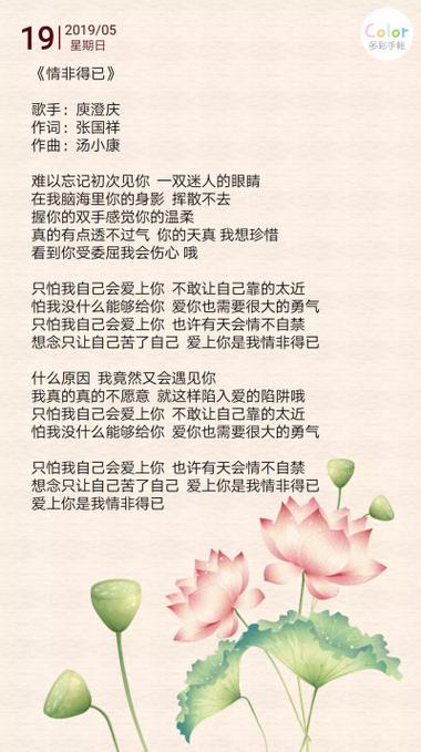 情非得已歌词 情非得已歌词
