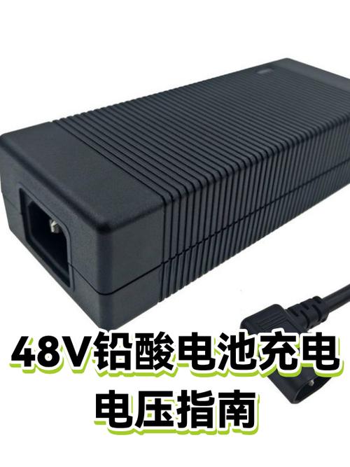 48v电瓶充电电压多少伏