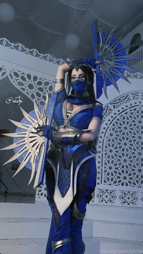 fansly老版本安装包