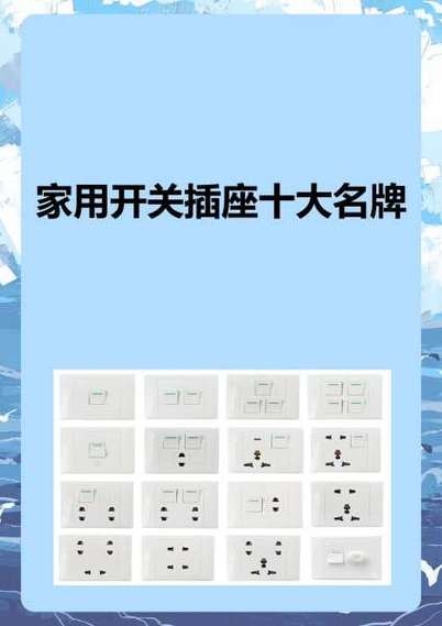 十大名牌开关排名