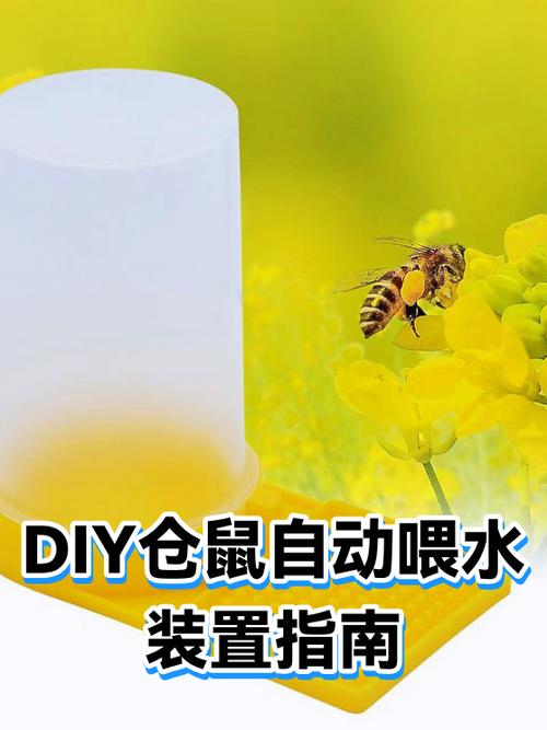 仓鼠能用什么当水