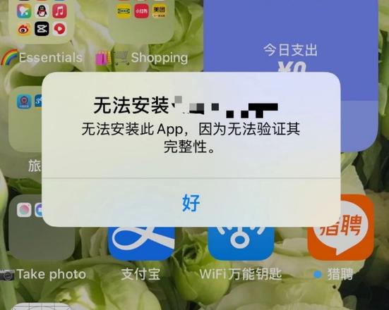 苹果手机软件莫名安装的解决方法