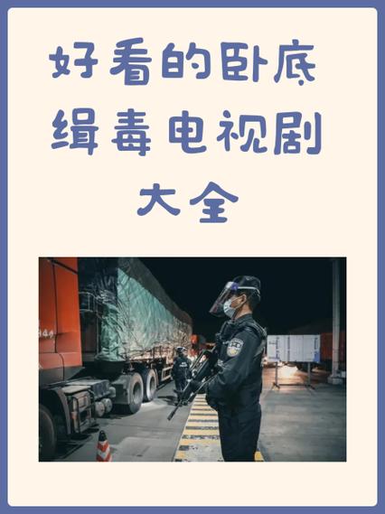 《缉毒卧底》卧底3
