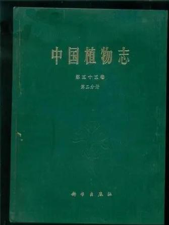 定向植物碎片十大排名