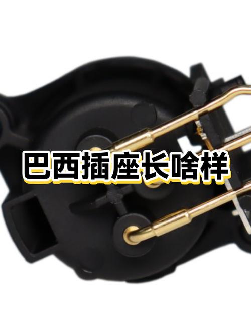 巴西插座图片截图3
