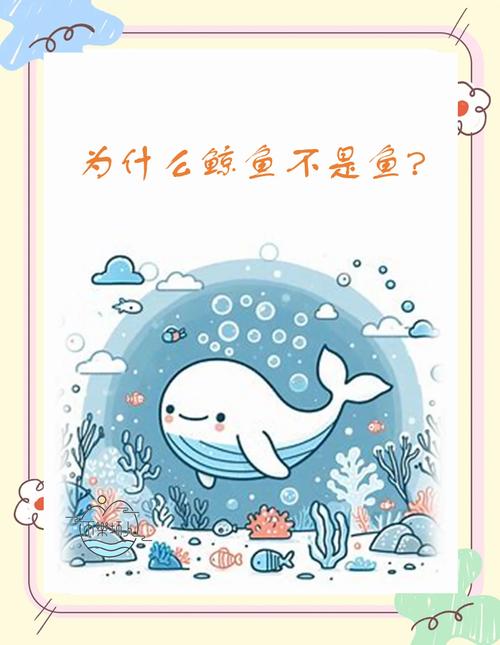 鲸鱼到底是不是鱼截图2