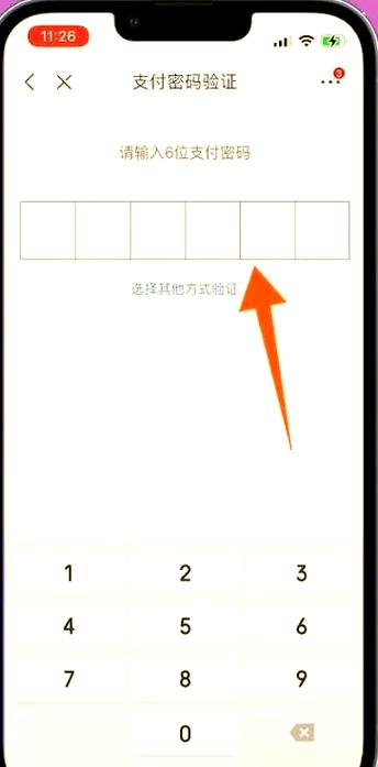 白条的开通条件截图3