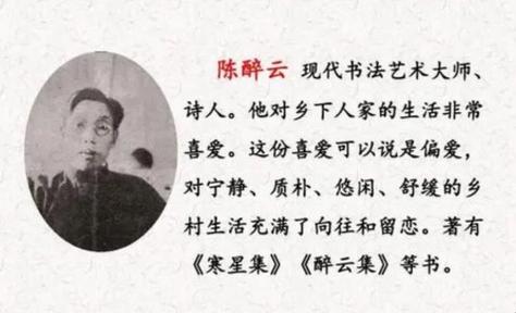 陈醉云个人简介