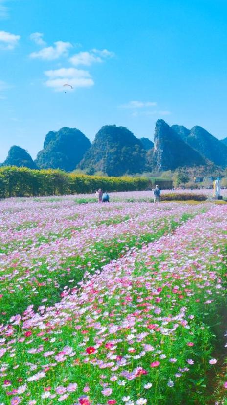 清远花海必去三个景点