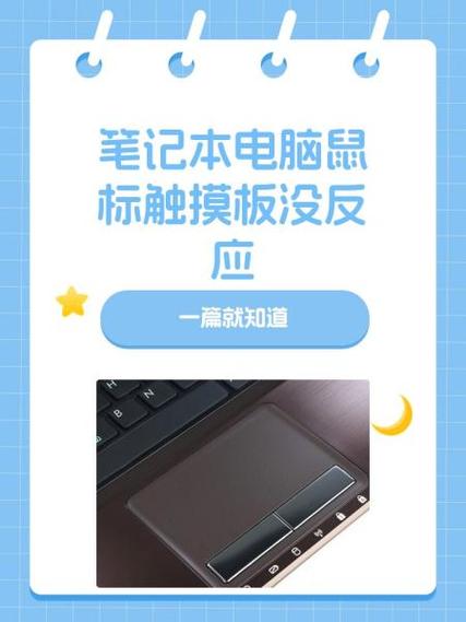 笔记本拔了鼠标触摸就没用了