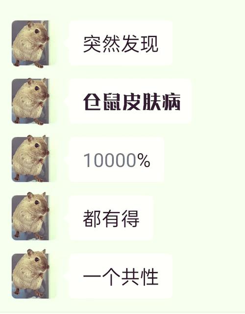 被仓鼠咬了几天会发病