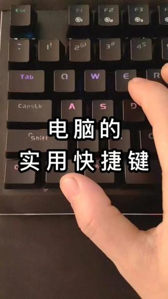 电脑字母切换中文怎么切换
