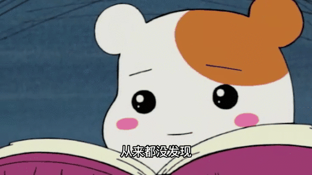 仓鼠管家1999
