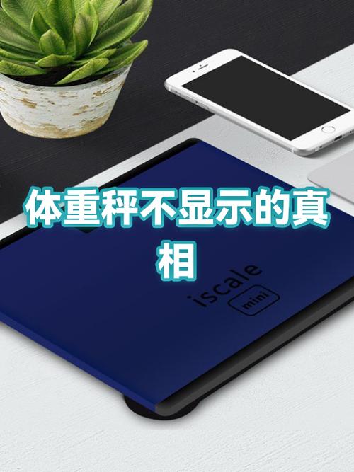 体重秤显示屏不亮了