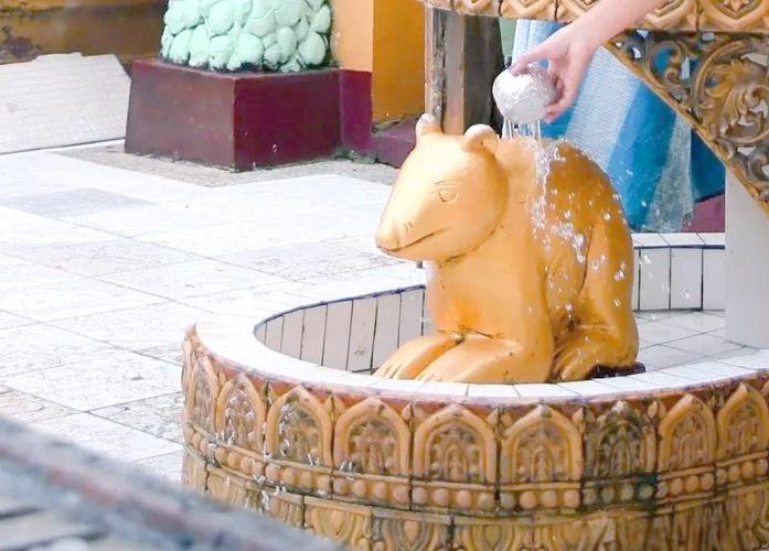 缅甸有多少大象