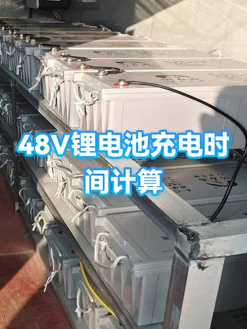 48v充电1小时需要多少电截图2
