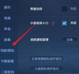 王者可以设置隐身吗